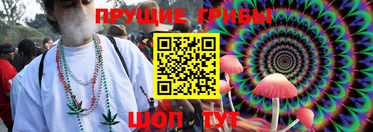 Соль-Илецк  Псилоцибиновые грибы ЛСД  Вход с VPN  Галлюциногенные грибы мухоморы 