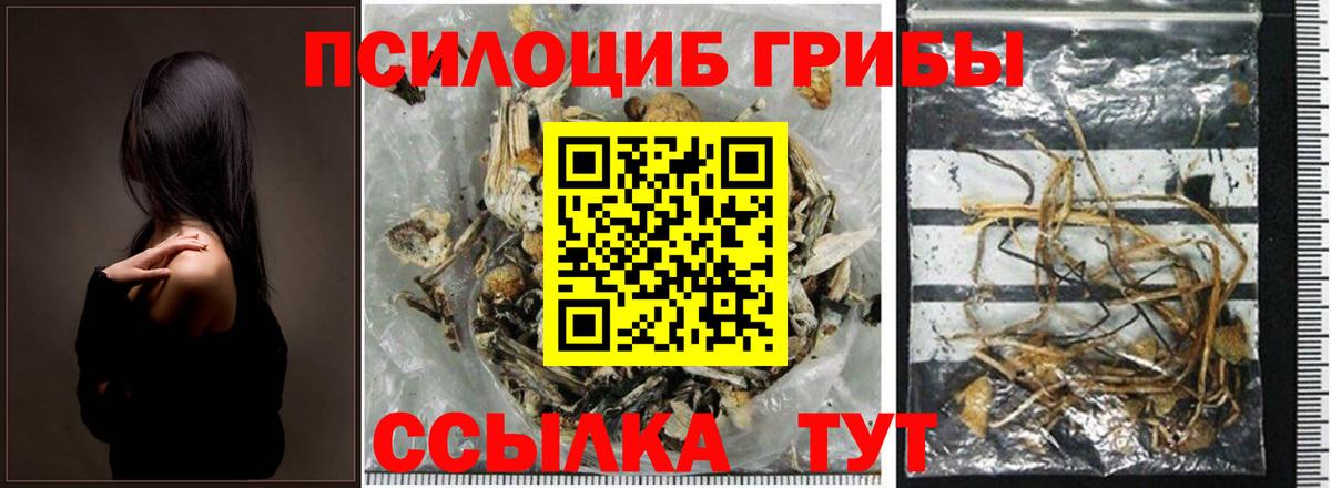 Галлюциногенные грибы ЛСД Соль-Илецк